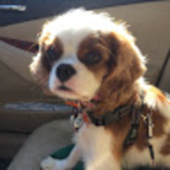 Meet your Posher, Jam - Picture 1 of 1